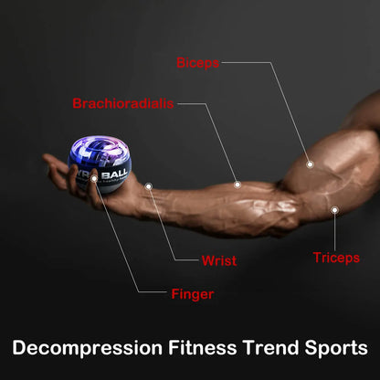 Muscular arm holding a gyro ball hand exerciser with labeled biceps, triceps, wrist, finger, brachioradialis, Aznolt home fitness gear